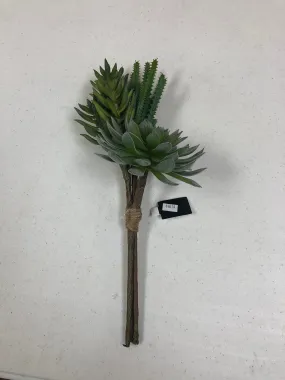 Green Assorted Succulent Pick