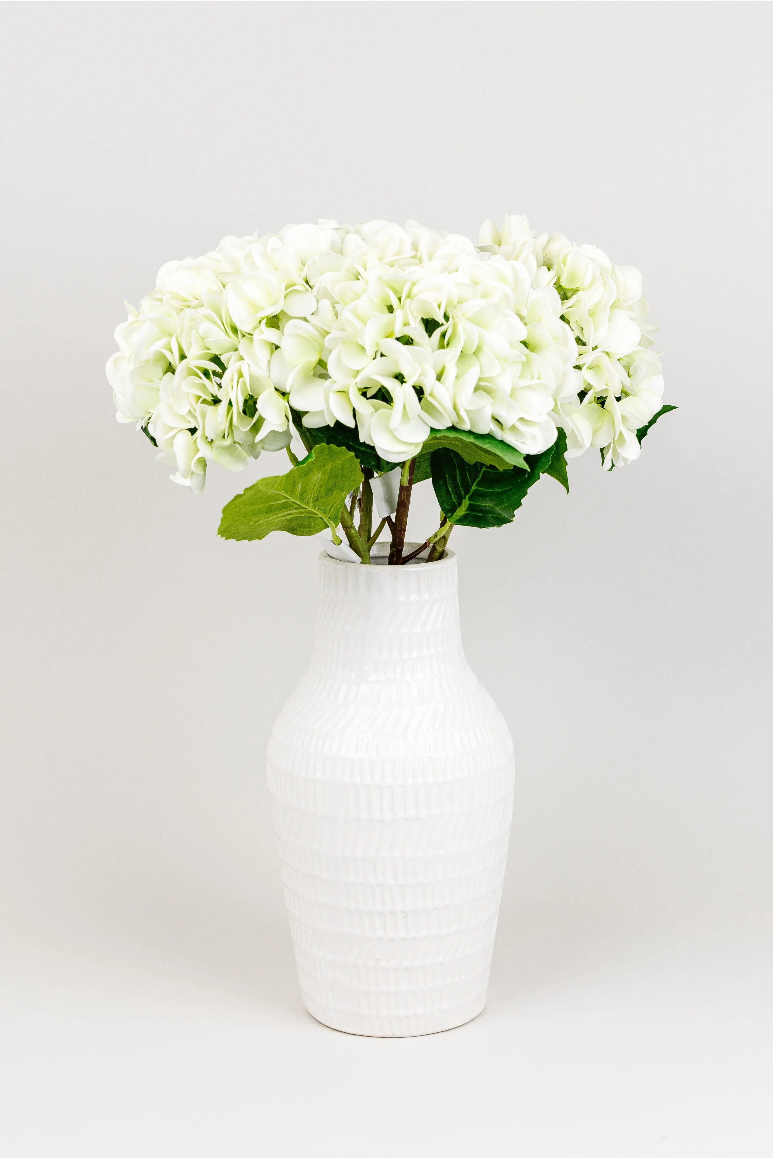 Light Green Hydrangea