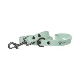 Sea Green Leash