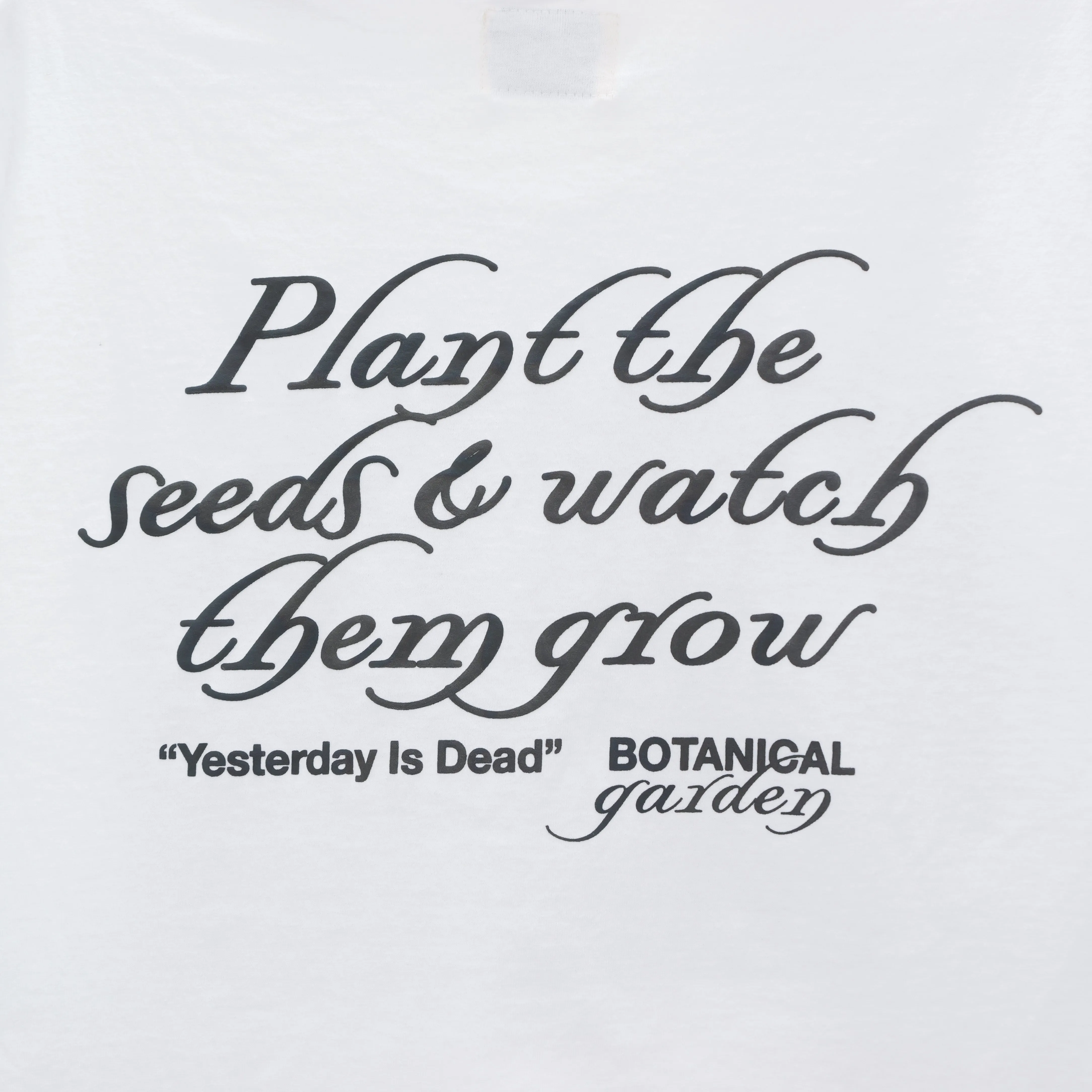 Succulent Tee White