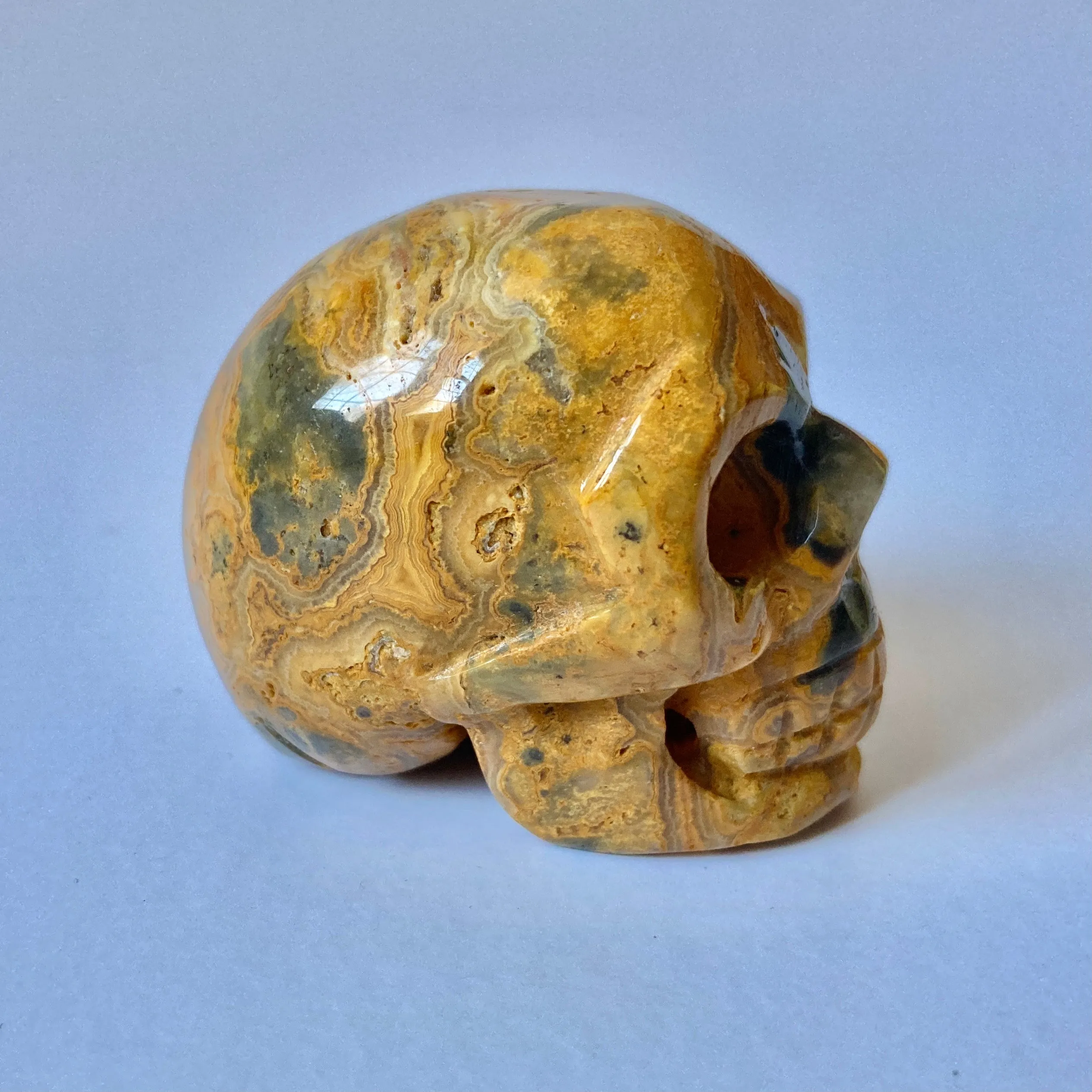 Yellow Mustard Jasper Skull