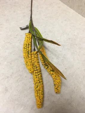 Yellow Rice Stem